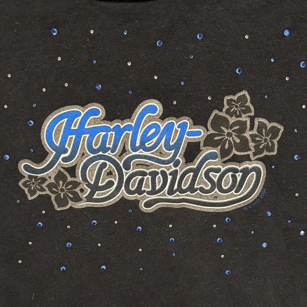 Harley-Davidson Black Tee with Blue and Silver Design S